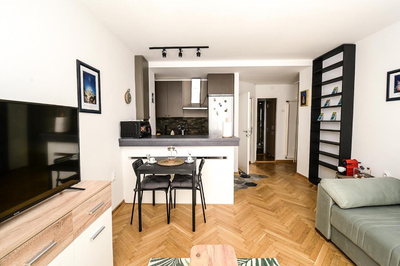 בלגרד Apartment Petra 073 מראה חיצוני תמונה