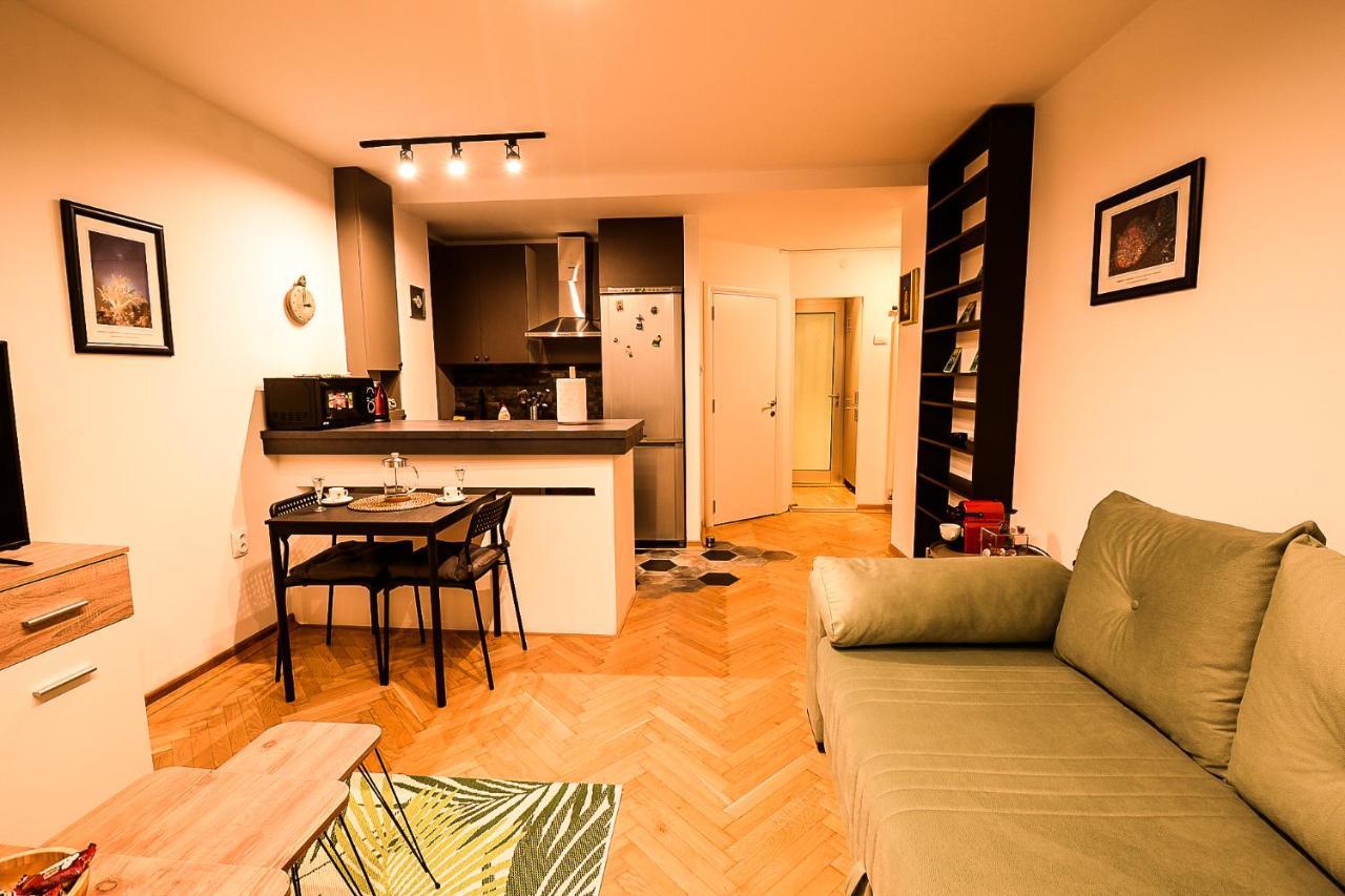 בלגרד Apartment Petra 073 מראה חיצוני תמונה