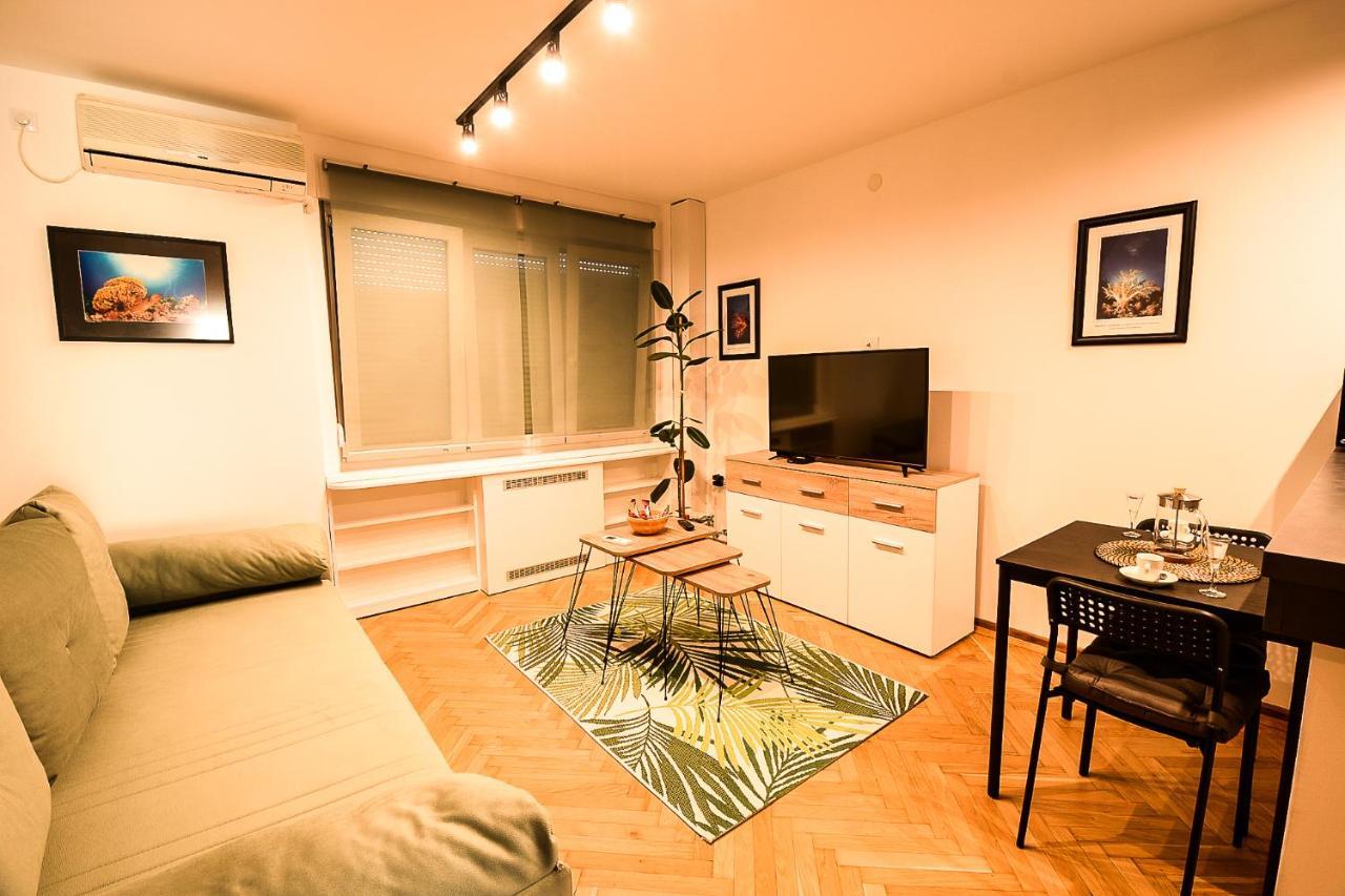 בלגרד Apartment Petra 073 מראה חיצוני תמונה