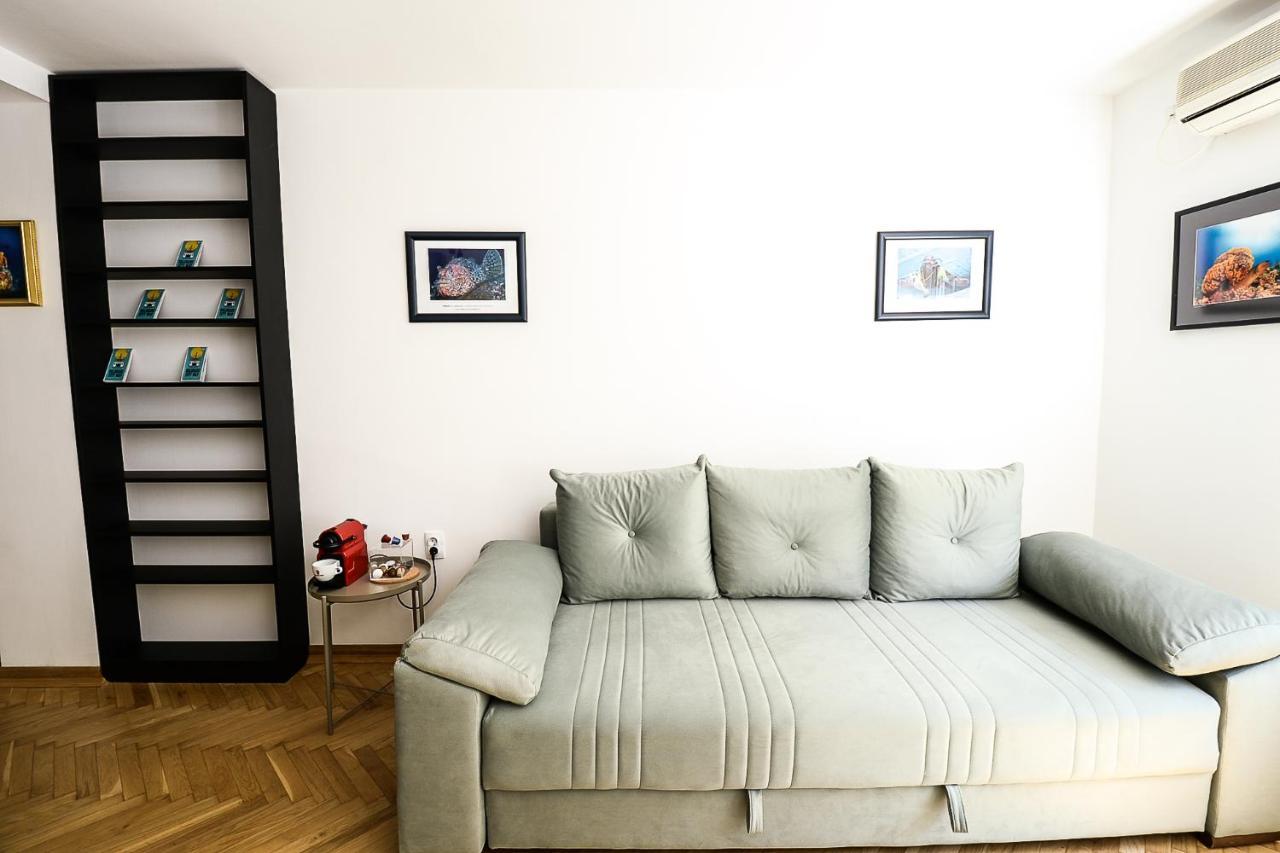 בלגרד Apartment Petra 073 מראה חיצוני תמונה