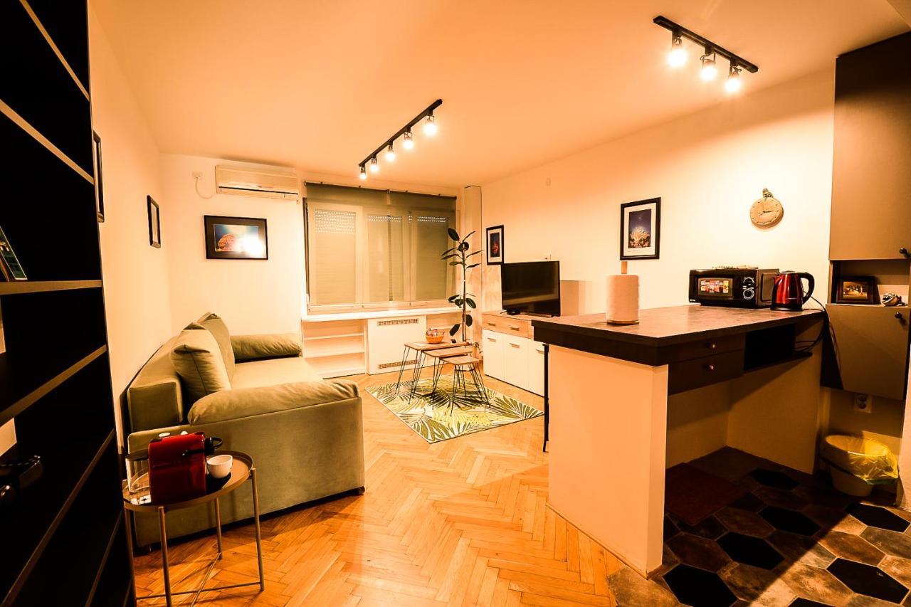 בלגרד Apartment Petra 073 מראה חיצוני תמונה