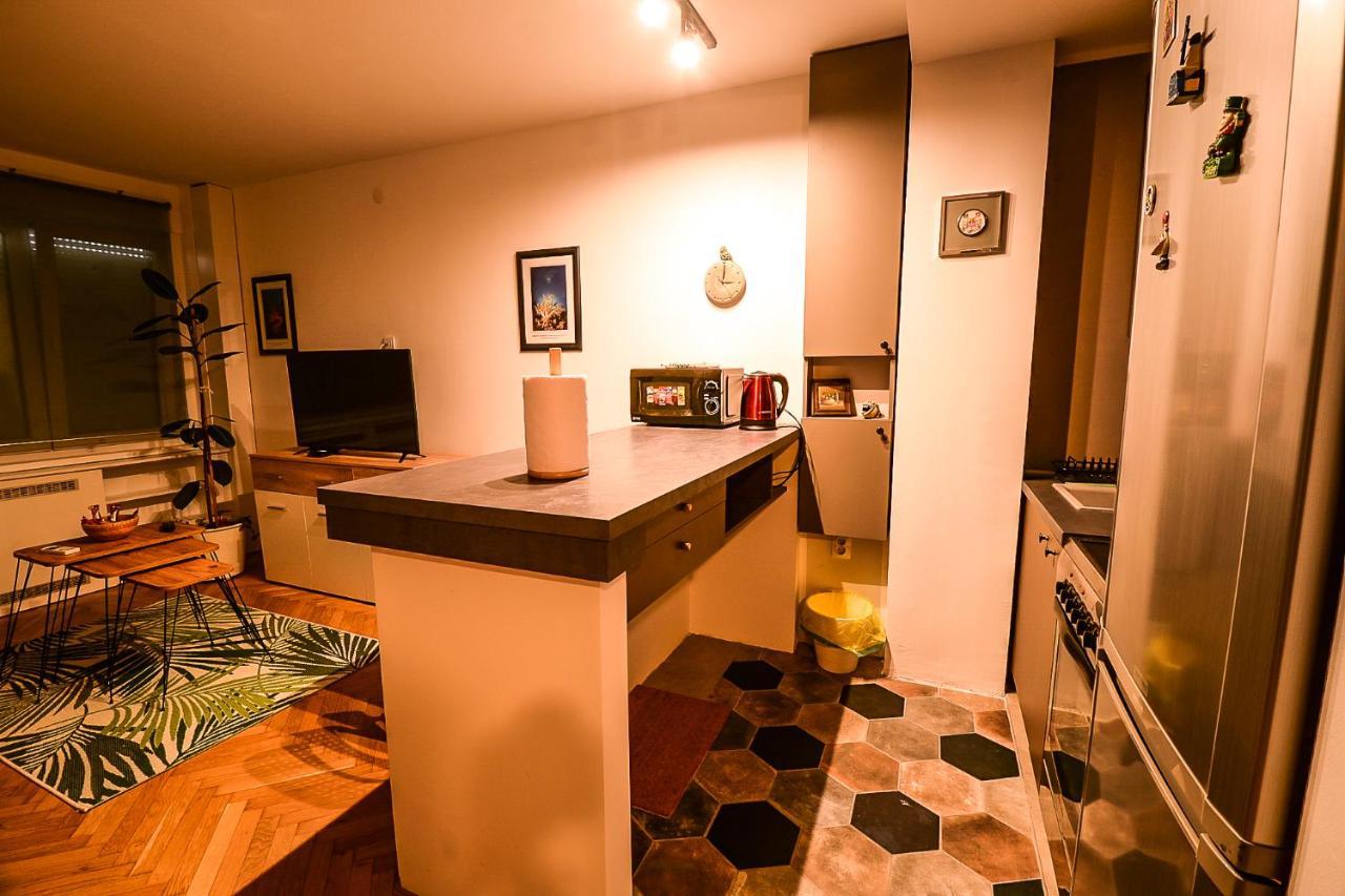בלגרד Apartment Petra 073 מראה חיצוני תמונה