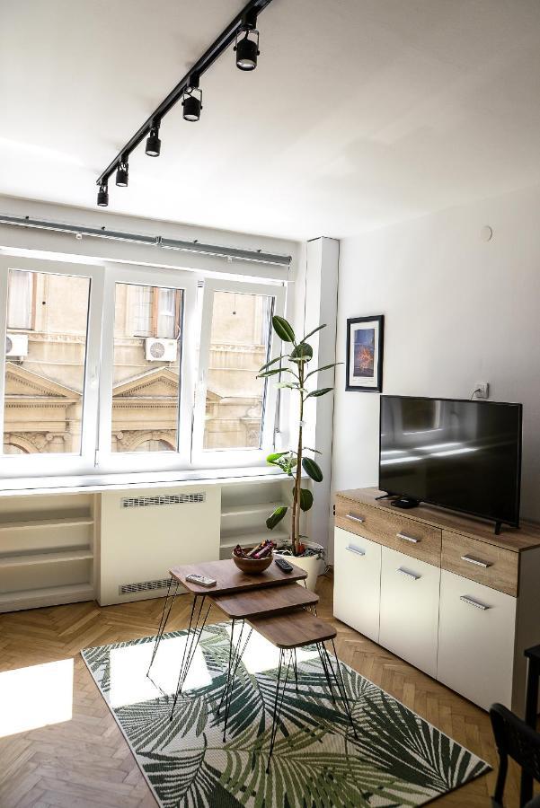 בלגרד Apartment Petra 073 מראה חיצוני תמונה
